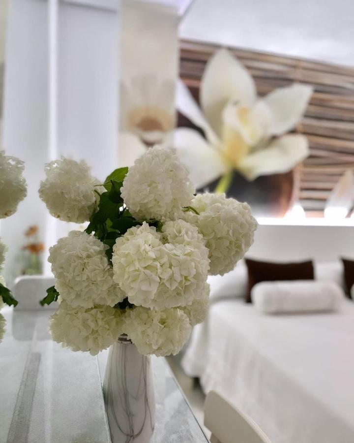 El Jardin Hotel Soto de la Marina Ngoại thất bức ảnh