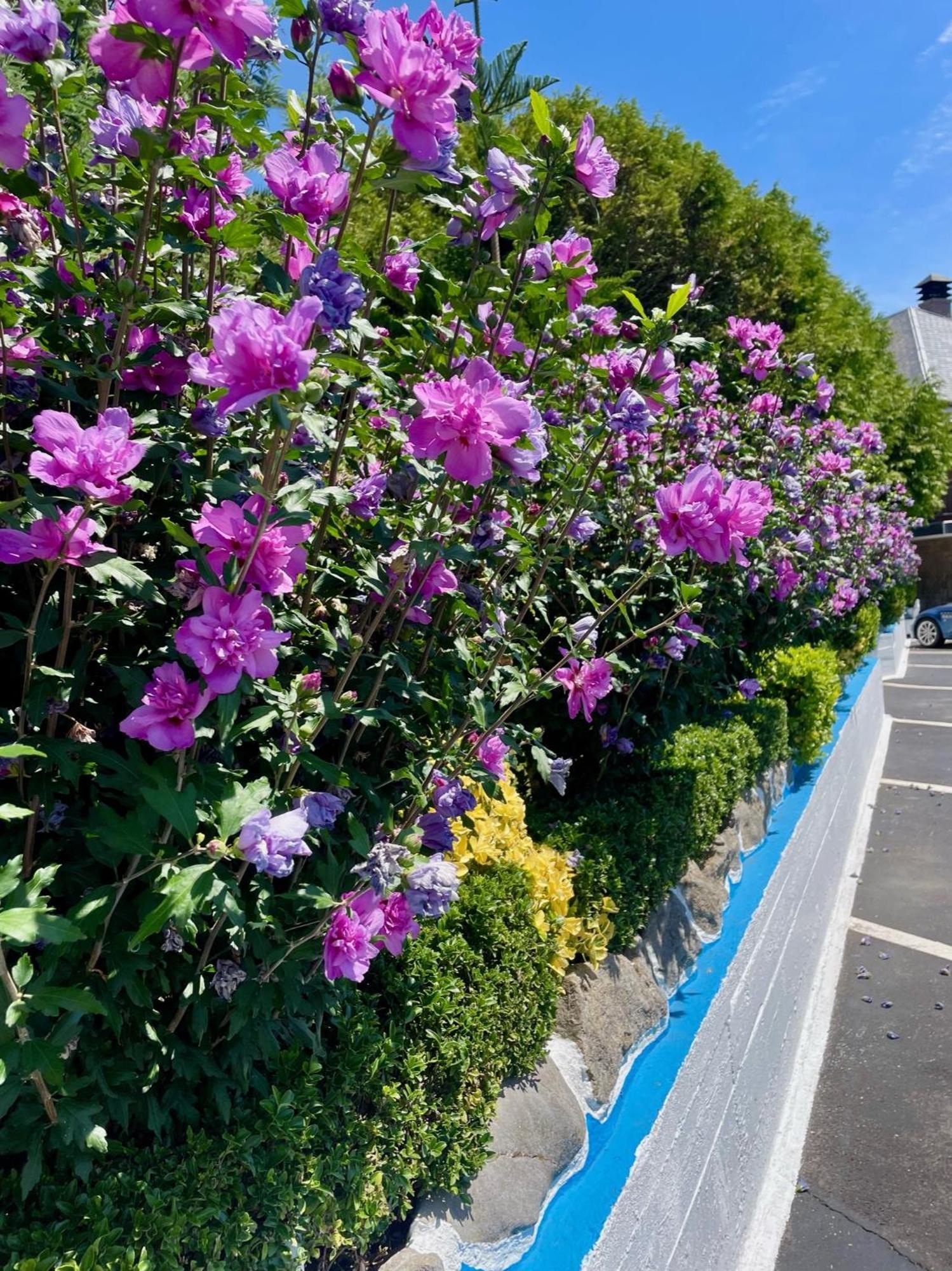 El Jardin Hotel Soto de la Marina Ngoại thất bức ảnh